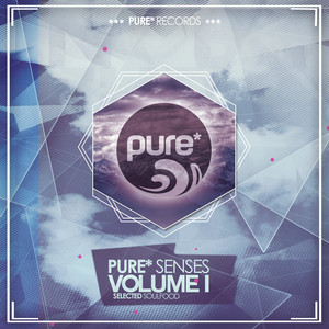 Pure* Senses - Selected Soulfood, Vol. 1