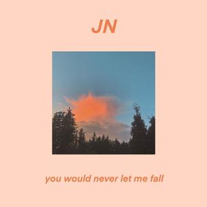 You Would Never Let Me Fall