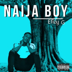Naija Boy (Explicit)
