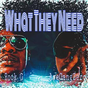 What They Need (feat. Rook G) [Explicit]