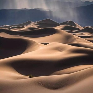 沙漠里的泪珠 (Live)