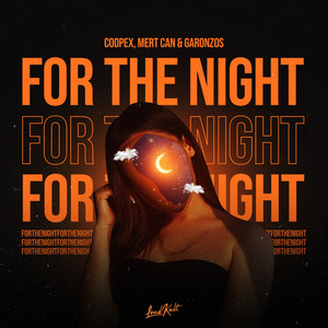 For the Night (Explicit)