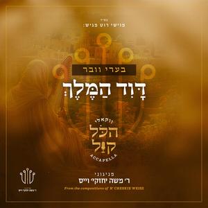 ‎⁨דוד המלך⁩ (feat. Mordy Weinstein)