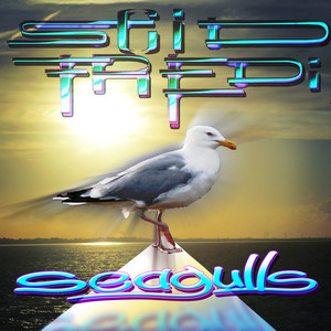 Seagulls