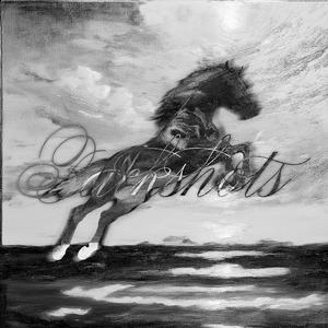 Backshots (Explicit)