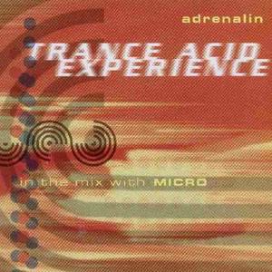 Trance Acid Experience