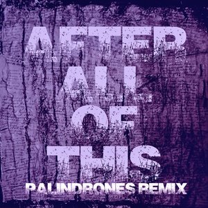 After All of This (Palindrones Remix)