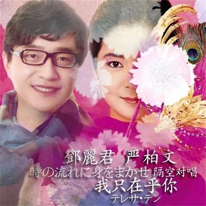 時の流れに身をまかせ duet with テレサ・テン