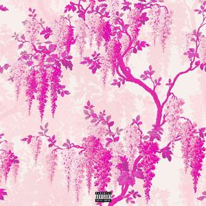 MONEY SPREAD (feat. o6influence & Sketchy4ever) (Explicit)