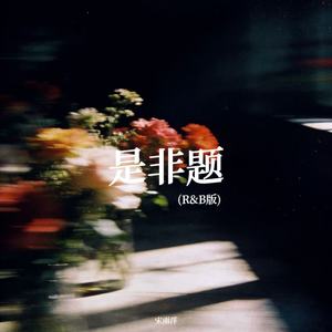 是非题 (R&B 版)封面