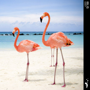 Sabot (Extended Mix)