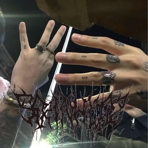 配合/怀疑FREESTYLE