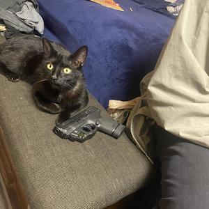 no conscience (Explicit)