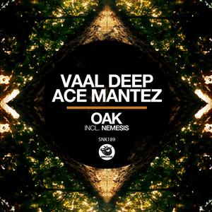 Oak (Original Mix)