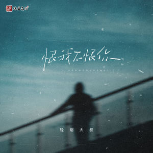 恨我不恨你封面