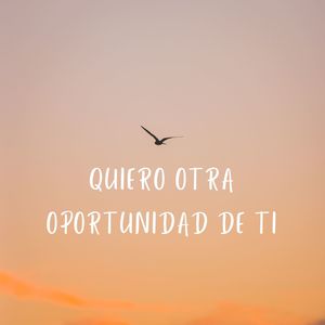 Quiero Otra Oportunidad De Ti