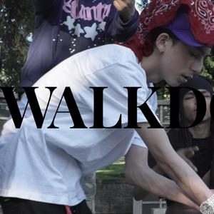 WALKDOWN (Explicit)