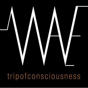 Trip of Consciousness