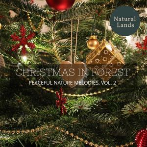 Christmas in Forest - Peaceful Nature Melodies, Vol. 2