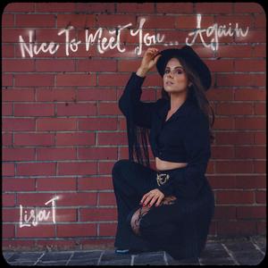 Nice To Meet You...Again (Explicit)