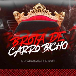 Brota De Carro Bicho (feat. DJ GUIZIM) (Explicit)