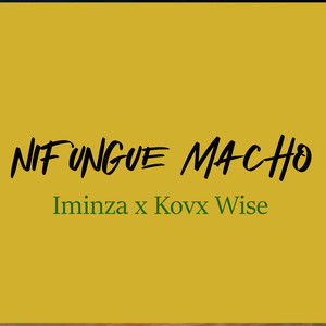 Nifungue Macho