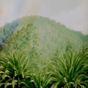 Paneye - The Tropical Coastline Was Colourful And Creepy (feat. bristles on the carapace)