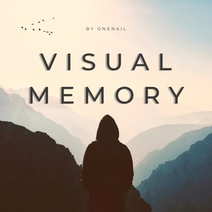 Visual Memory