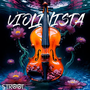 Violinista