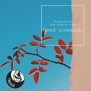 Need Somebody (Original Mix)