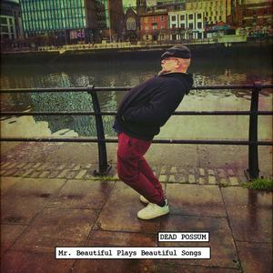 Am E&E MADley Sing-a-Long-Song Song (feat. Eve Possum & Esme Possum)