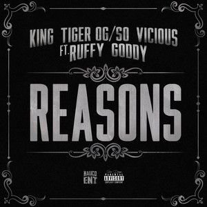 Reasons (Explicit)