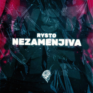 Nezamenjiva