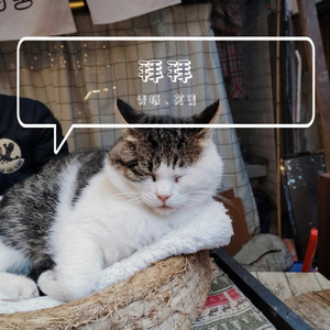 拜拜