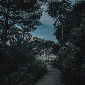 One Day Ill Fade Away