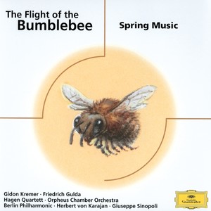 The Flight of The Bumblebee - Spring Music