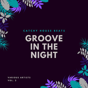 Groove In The Night (Catchy House Beats) , Vol. 2