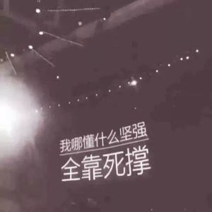 詹东梁 - 无-你是猪啊我说分手就分手，你都不知道哄哄我 (詹东梁 Remix)