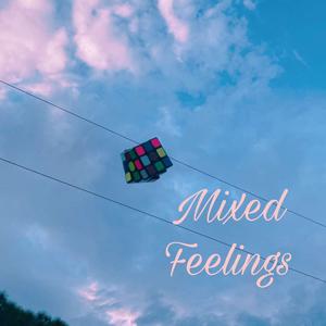 Mixed Feelings (Explicit)