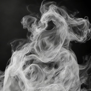 我本将心向明月 (DJ节奏版)