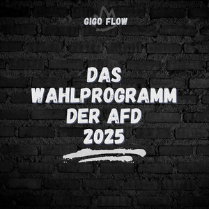 Das Wahlprogramm Der AfD 2025
