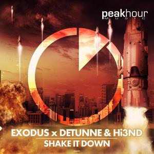 Shake it Down (Original Mix)