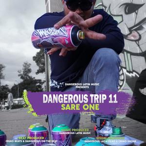 Dangerous Trip 11 - Sare One (Explicit)