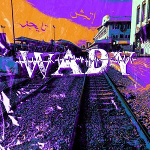 Wady (feat. TIger) [Explicit]