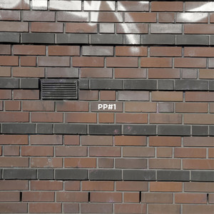 PP#1