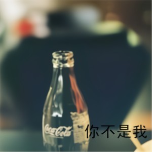 你不是我