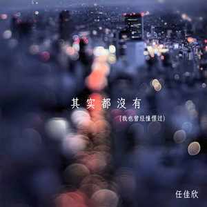 其实都没有(我也曾经憧憬过)