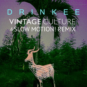 Drinkee (Vintage Culture & Slow Motion! Remix)