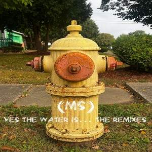 Yes the water is... (FBK Remix)