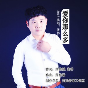 爱你那么多 - 张林 - qq音乐-千万正版音乐海量无损曲库新歌热歌天天